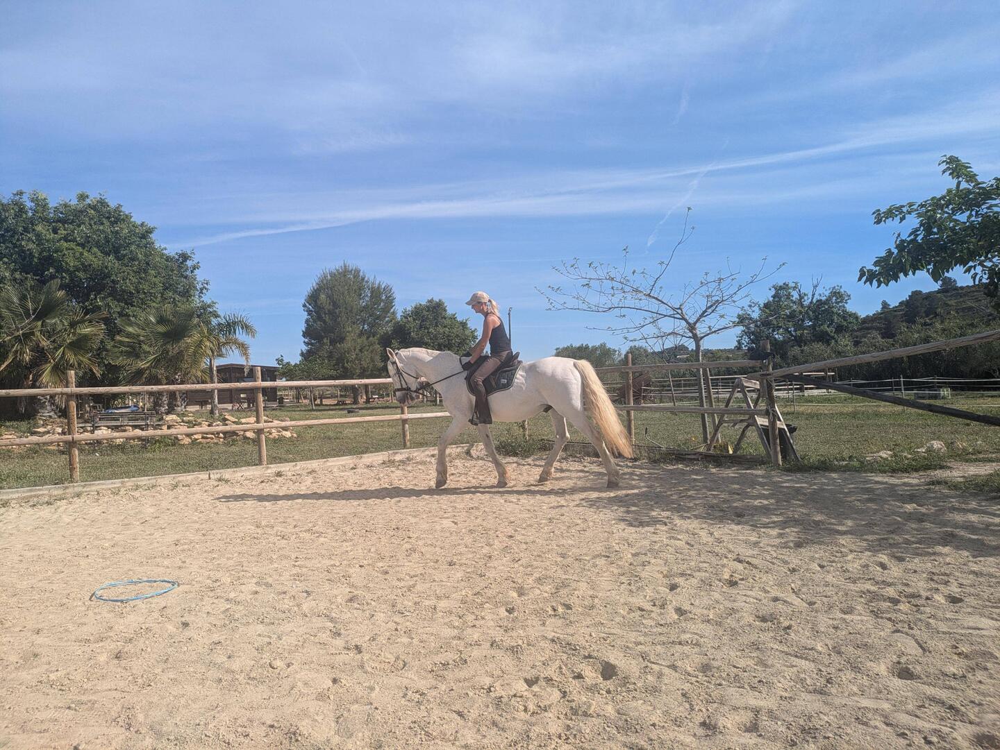 Mama ist wie immer fleißig am reiten