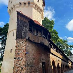 Str.Cetâtii