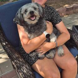 Von diesem Kerlchen wurden wir in Columbus willkommen geheißen. Er ist Motivationstrainer