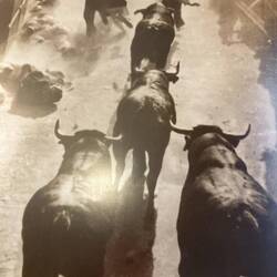Old photo of Running of the Bulls
