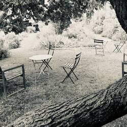 Poesie der Zufälligkeit