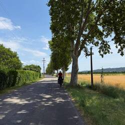 30 Grad bei angenehmer Luftfeuchte.