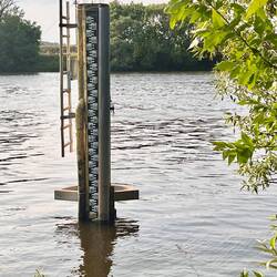 Pegel Raunheim im Main