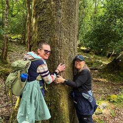 The Hugging Tree
