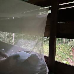 Tapirbeobachtungsplattform