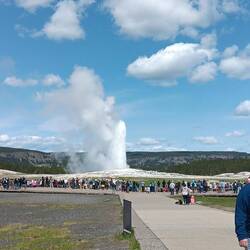 Gejser springer ca 40 m