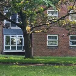 Die haben auch ihre Nische gefunden, 400m² Park