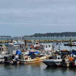 Eine ordentliche Flotte