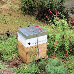 The venue also has bees and honey