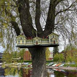 Lussuosa casetta per uccellini