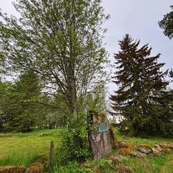 Sito funebre medioevale di Mikkeli