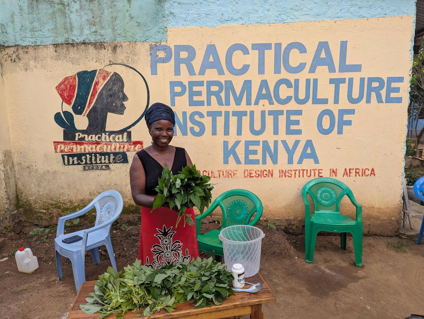 Rachel preparing sukuma wiki