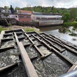 Scala per risalita salmoni su diga