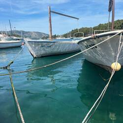 Zisi liebt Fischerboote