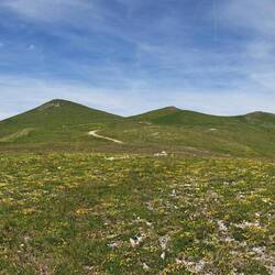 La flora è da alta montagna (oltre i 2.500 mslm) anche se siamo a 1.500 mslm