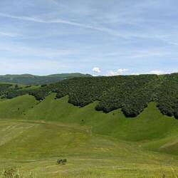 Colline di "velluto verde"