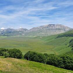 Siamo in anticipo sulla fioritura ma l'effetto di questo altopiano è comunque fenomenale