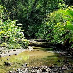 Every day we hiked for hours through the jungle. No one around, it was a fantastic feeling.