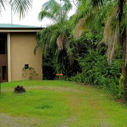 We rented this small villa located in the middle of the jungle...