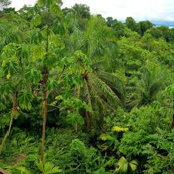The jungle begins the moment you leave the bedroom...