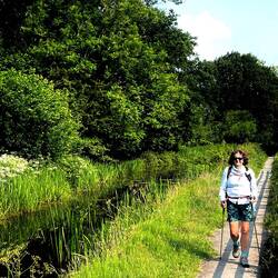 Rewilded Montgomery Canal