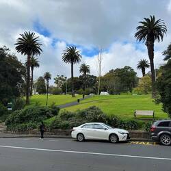 Albert Park, Auckland, New Zealand