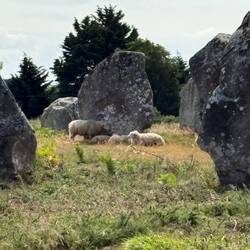 Les Alignments de Carnac