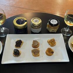 Sommer- und Wintertrüffel