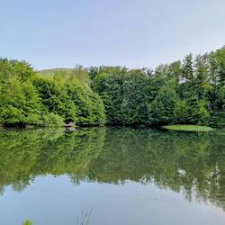 Lacul Mogosa