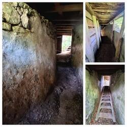 Hier gab es ein furchtbares Gemetzel