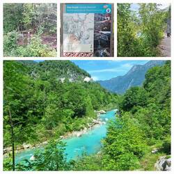 Blick auf den Fluss Kozjak