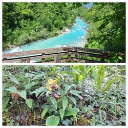 Blick auf den smaragdfarbenen Kozjak