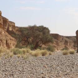 ...welches vermutlich nur selten Wasser führt