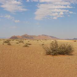 ... übernachten wir direkt hinter dem Eingangstor des Parks