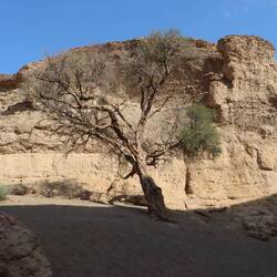 Man läuft in 30 Minuten durch das Flussbett...
