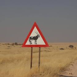 ...warnen die ersten Schilder schon vor Oryx-Antilopen