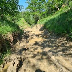 Wanderwege, trocken