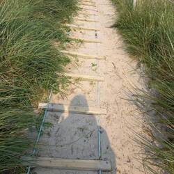 die Strickleitern erleichtern den Auf- und Abstieg