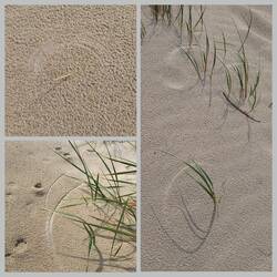 die Natur malt Kreise