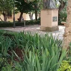 Es ist Gitarrenfest in Ronda, hier ein kleiner Ausschnitt (Ton an 😉)