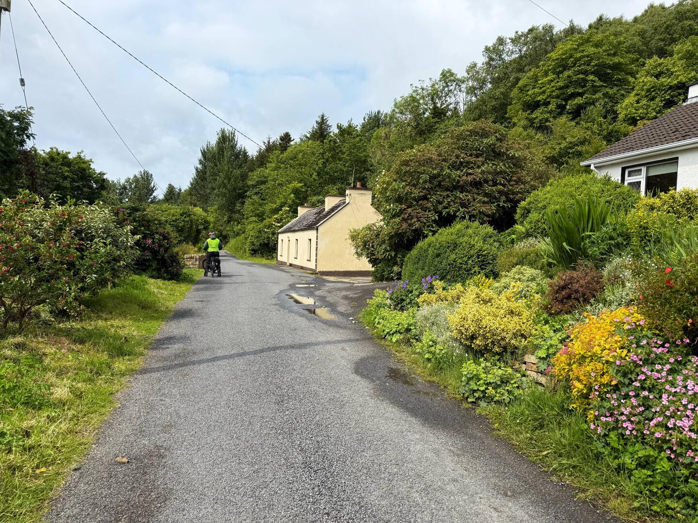 Quiet country roads
