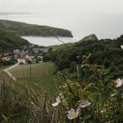 Auf dem Lulworth Cove Path (Auch für die Zunge Training 😜)