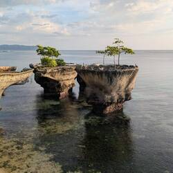 Part of the abandoned West Cove