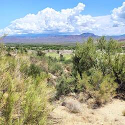 Hier war wohl früher auch Wasser, erkennbar seit Jahren nicht mehr