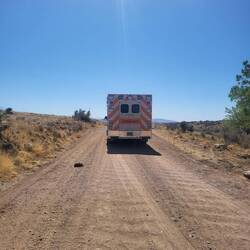 Für Jack ging es leider per Krankentransport ans Tagesziel