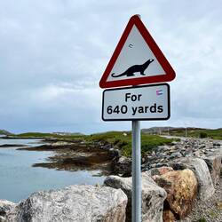 Leider keine entdecken können :(