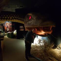 Wadlata Outback Centre