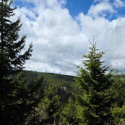 Sah richtig schön aus heute morgen