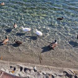 Look just how beautifully clear the water is