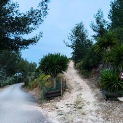 Links der Hauptweg, rechts ein Nebenweg des CP.